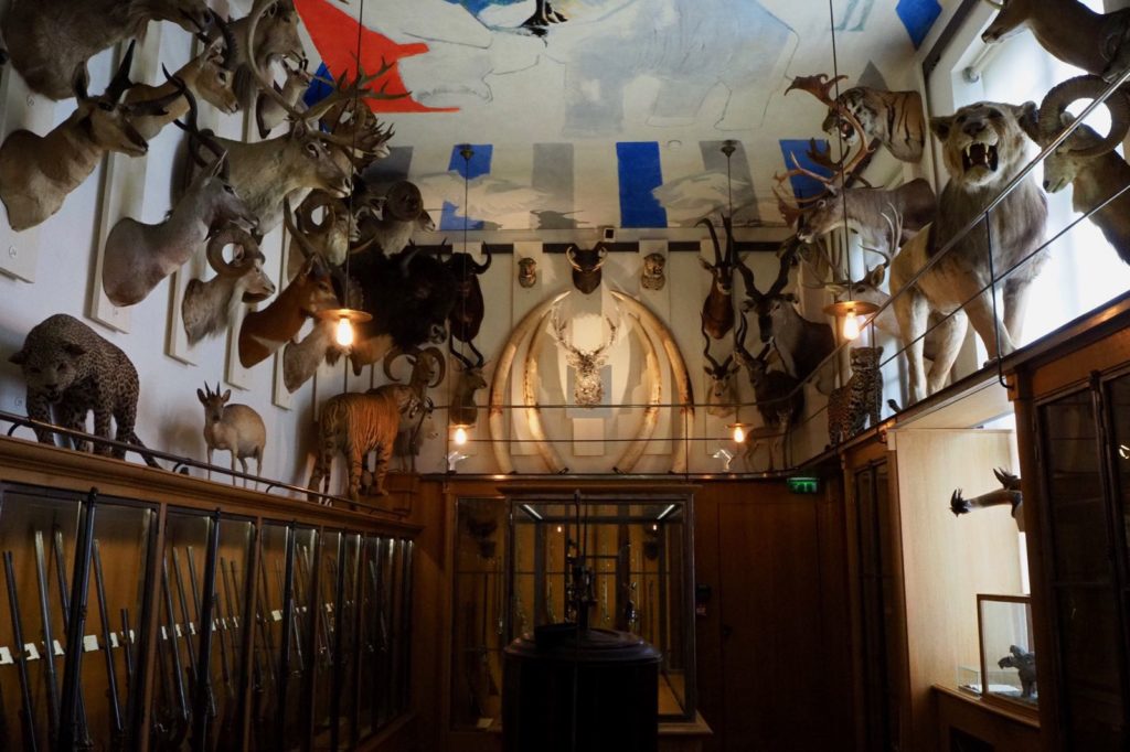 Musee de la chasse salle des trophés