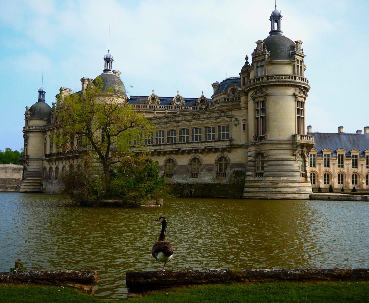 Le Domaine de Chantilly – Château, chevaux, parc et chantilly
